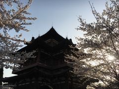 -西安青龙寺遗址景区