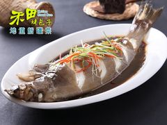 -禾田烤包子·新疆菜(人民电影院店)