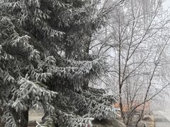 -青峰峡国家森林公园