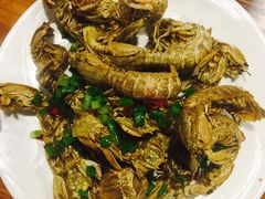 -食海部落