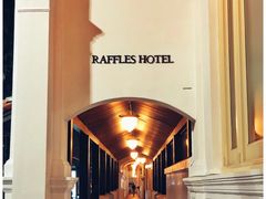 -Long Bar(莱佛士酒店)