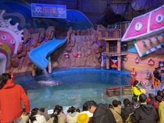-烟台海昌鲸鲨海洋公园