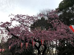 -东京国立博物馆