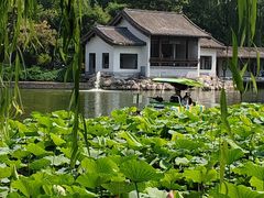 -团结湖公园