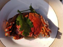 -品鲜村农家菜·阳澄湖大闸蟹(总店)