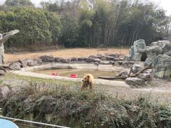 -宁波野生动物园