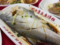 -蛇口康乐快餐鱼仔档(翠苑小区店)