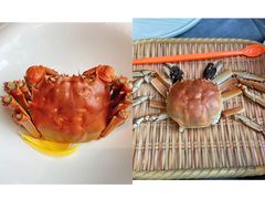 -蟹榭·本帮江浙菜·蟹宴(五角场合生汇商场店)