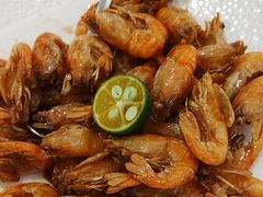 -圆苑(静安寺店)