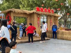 -北戴河集发农业梦想王国