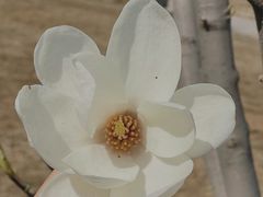 -北运河水利风景区