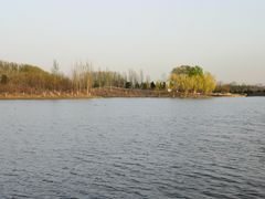 -东郊湿地公园