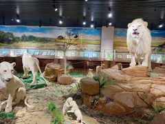 -陕西自然博物馆