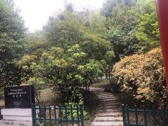 -莲湖公园