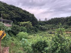 -天强农家菜馆