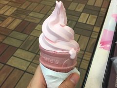 -麦当劳(明湖店)