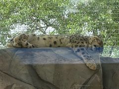 -青藏高原野生动物园