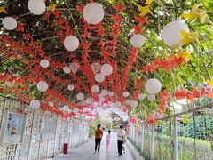 -光明农场大观园