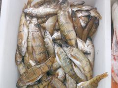 -畲乡一品鱼府土菜馆