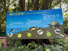 -广州长隆飞鸟乐园