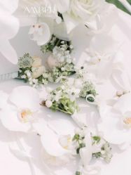 -琥珀婚礼策划AMBER WEDDING