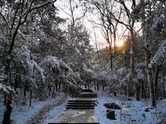 -紫金山山顶公园