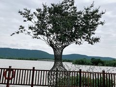 -尚湖风景区