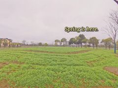 -歌斐颂巧克力小镇