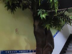 -中雪冰冰凉(沙湾国际店)