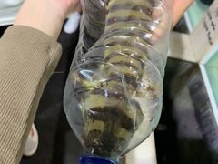 -海盗餐厅