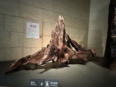 -金沙遗址博物馆