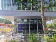 -Cetus coffee鲸鱼座咖啡·拼豆(二仙桥公园店)