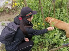 -樂桃源奉贤黄桃种植采摘基地