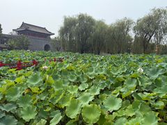 -大明幻境第一城