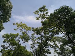-上海吴淞炮台湾国家湿地公园