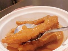 -新同乐鱼翅酒家(美丽华店)