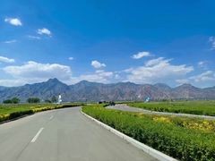 -敕勒川草原文化旅游区