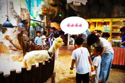 -宝燕乐园(闵行旗舰店)