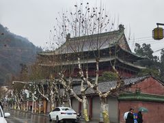 -报恩寺(平武县)