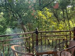 -巴倒烫陆派火锅山庄(南山总店)
