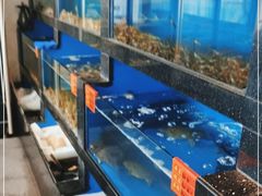 水产区-华盛丰温州大排档(东三环南路店)