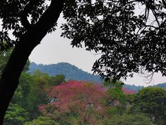 -广州市白云山风景名胜区