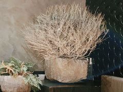 -渔寿司·日本料理(艾尚天地店)