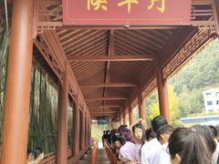 -栾川竹海野生动物园