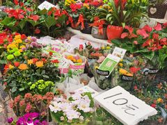 -秦美花卉(天朗·莱茵小城2期店)