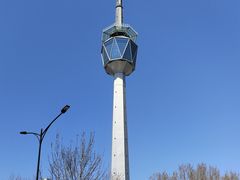 -陕西自然博物馆