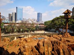 -昆明动物园