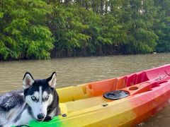 -上海海湾国家森林公园