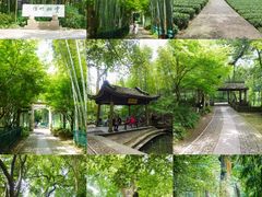 -云栖竹径