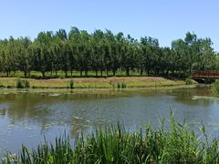 -东郊湿地公园